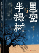 图书封面3